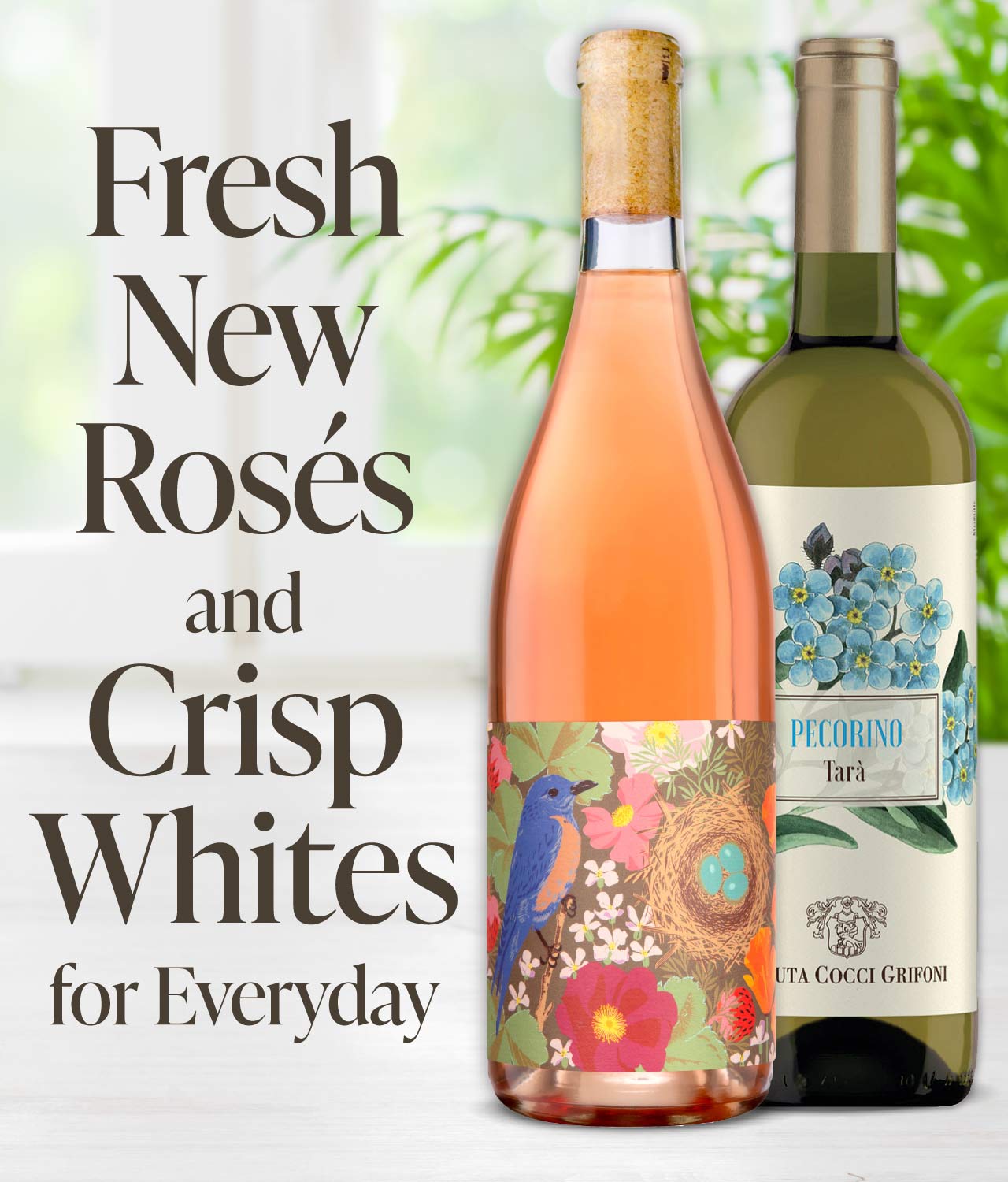 Fresh New Roses and Crisp Whites